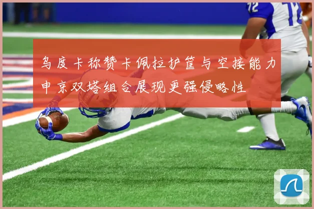 乌度卡称赞卡佩拉护筐与空接能力申京双塔组合展现更强侵略性